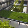Incorporating Sustainability and Green Features in Commercial Construction